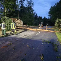 20230712_045847.jpg